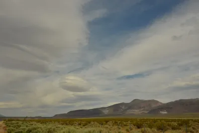 DSC_6589 (Large).JPG